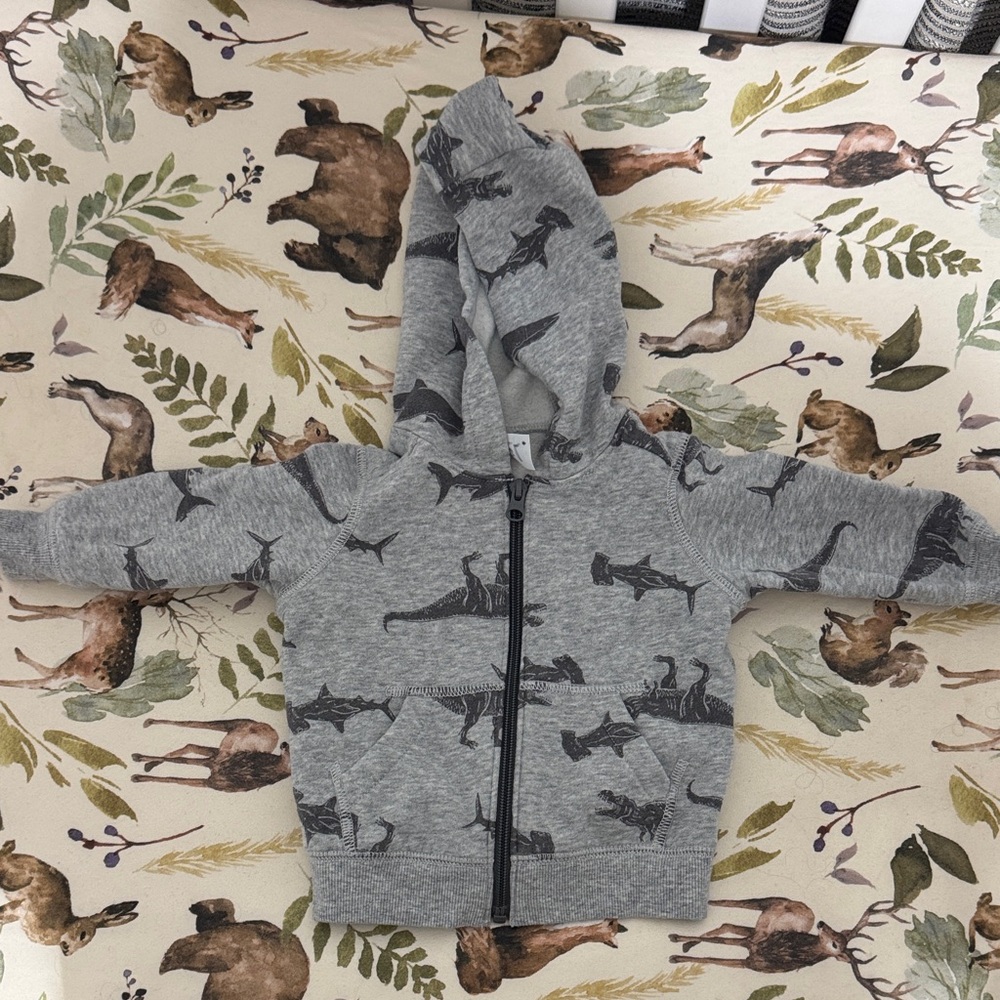 Gray Dinosaur Hoodie for Kids